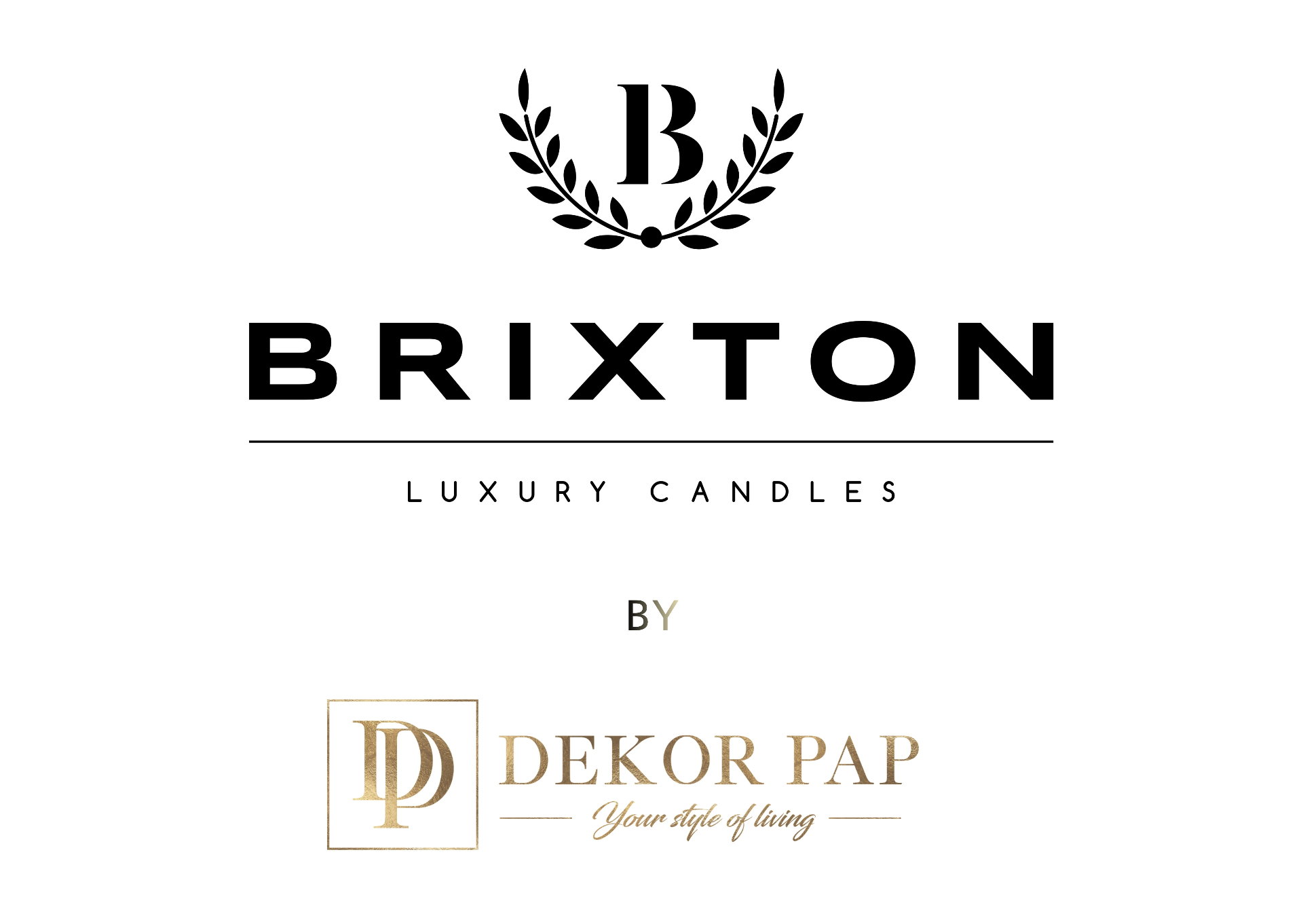 Logo partnera: BRIXTON